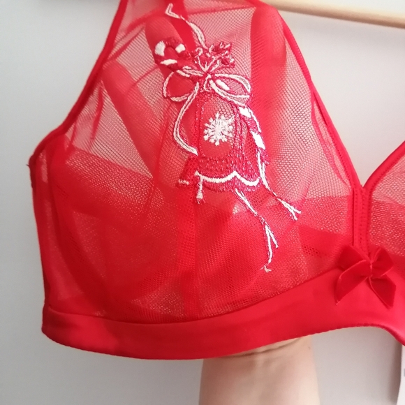 NWT Understance Sheer Plunge Bra With Embroidery in Goji Berry Red - Picture 5 of 16